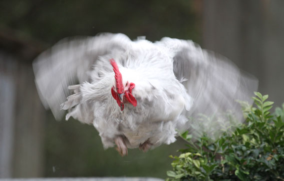 Photo: Christian Specht